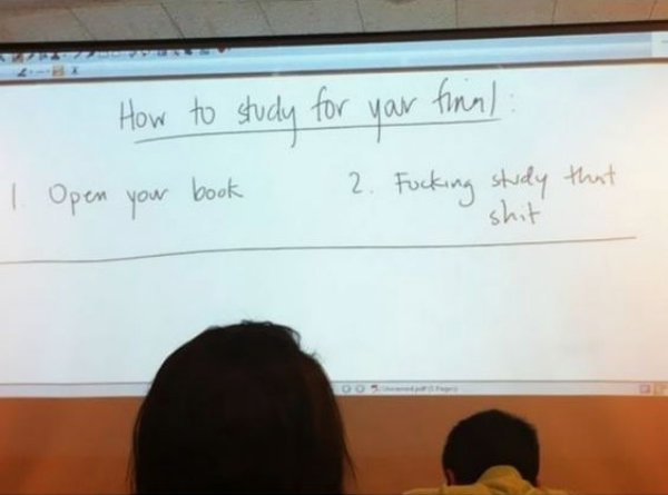 make a teacher laugh - How to study for your final 1. Open your book 2. Fucking study that