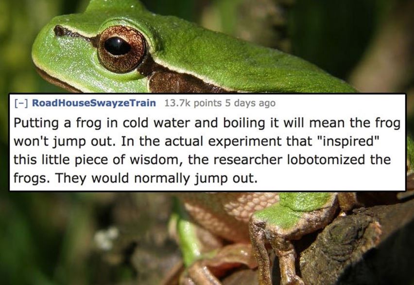 frog culture - Road HouseSwayzeTrain points 5 days ago Putting a frog in cold water and boiling it will mean the frog won't jump out. In the actual experiment that "inspired" this little piece of wisdom, the researcher lobotomized the frogs. They would no