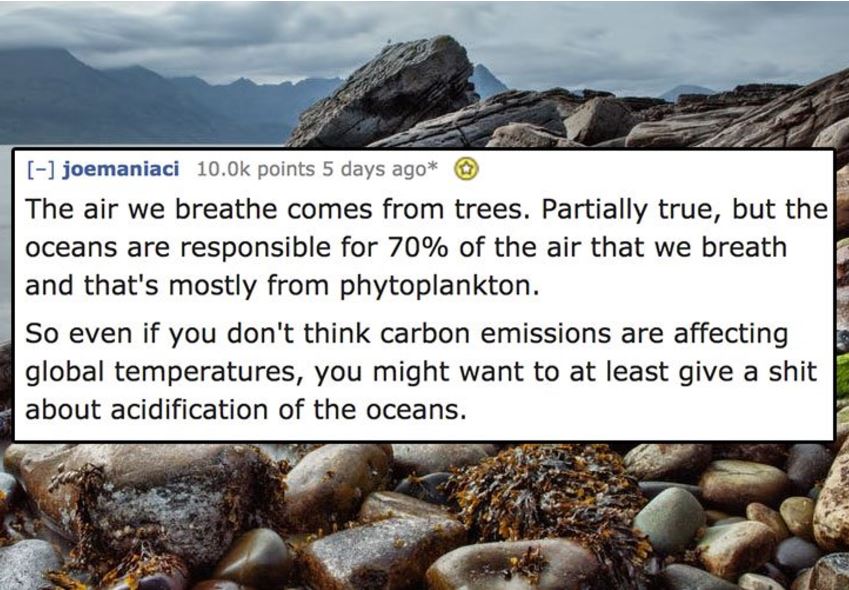 rock - joemaniaci points 5 days ago The air we breathe comes from trees. Partially true, but the oceans are responsible for 70% of the air that we breath and that's mostly from phytoplankton. So even if you don't think carbon emissions are affecting globa