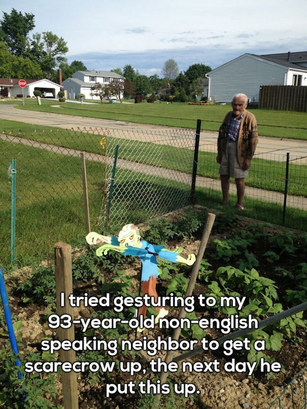 tree - I tried gesturing to my 93yearold nonenglish speaking neighbor to get a scarecrow up, the next day he put this up.