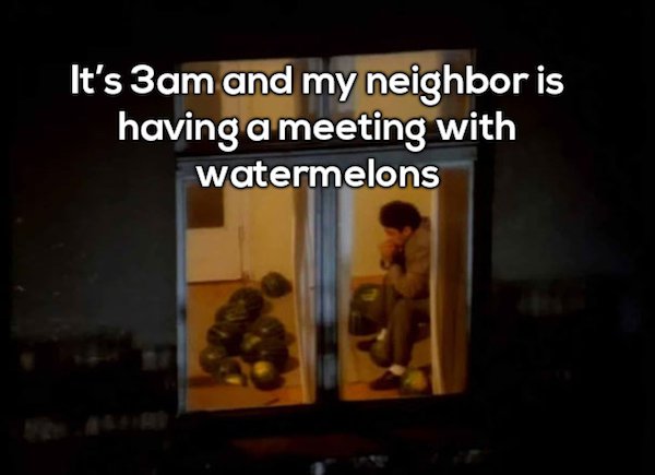 photo caption - It's 3am and my neighbor is having a meeting with watermelons