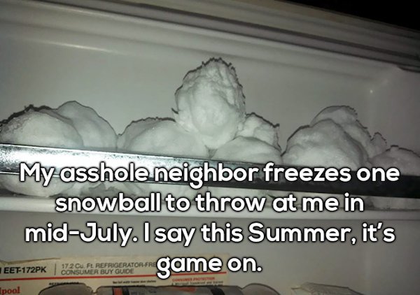 photo caption - My asshole neighbor freezes one snowball to throw at me in midJuly. I say this Summer, it's Eet 172PK Acara game on. Ipool