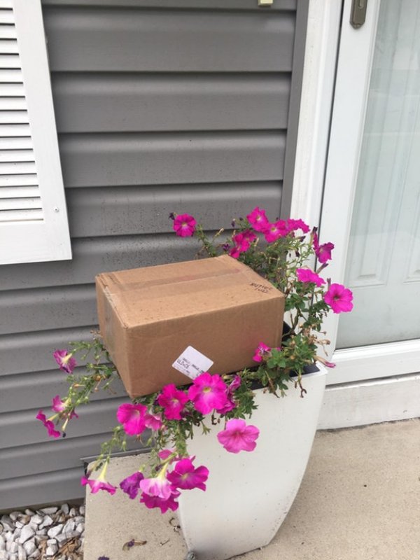 UPS package placed right on a flower pot.