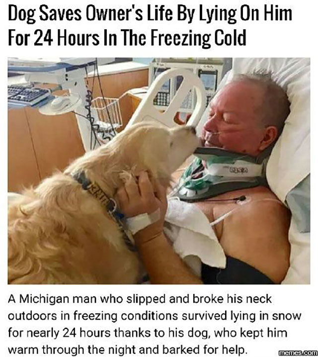 Dog that stayed with his owner to save him.
