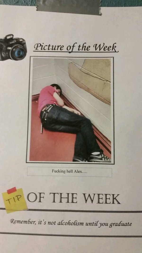 funny tip of the day - Picture of the Week Fucking hell Alex.... Tip Of The Week Remember, it's not alcoholism until you graduate