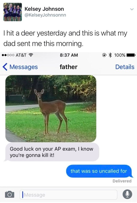 DM from dad after hitting a deer.