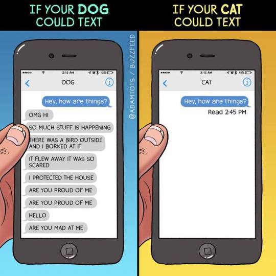 Funny meme contrasting if your dog could text VS if your cat could text