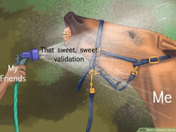 wholesome meme sweet validation meme - That sweet, sweet validation My Friends Me wilci How to Bathea Horse