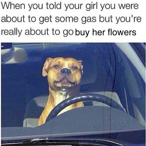 wholesome meme funny cheating memes - When you told your girl you were about to get some gas but you're really about to go buy her flowers