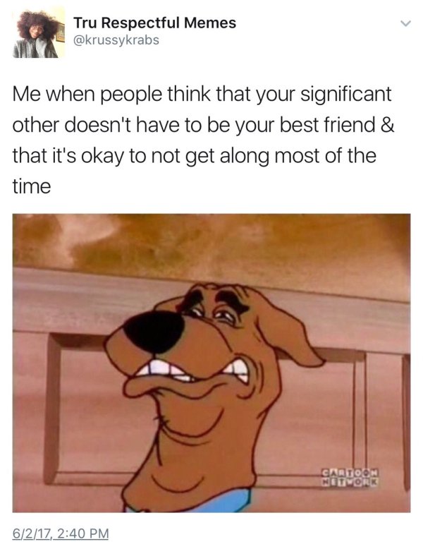 wholesome meme shaggy meme - Tru Respectful Memes Me when people think that your significant other doesn't have to be your best friend & that it's okay to not get along most of the time Cartoon Network 6217,