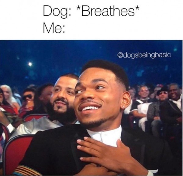 wholesome meme drunk memes - Dog Breathes Me