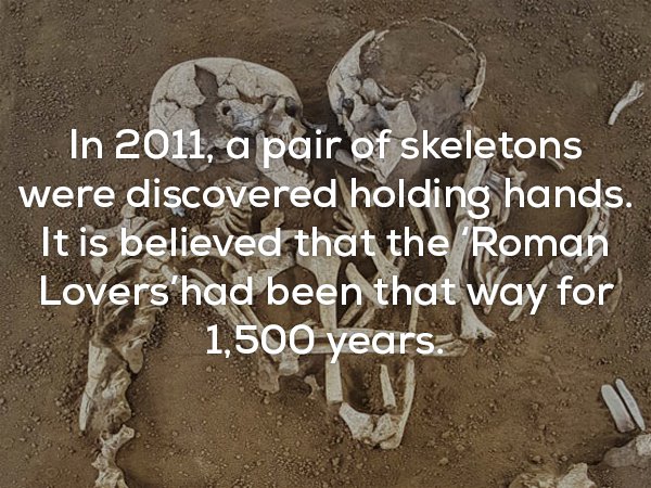 fun fact about pair of skeletons that were discovered holding hands.