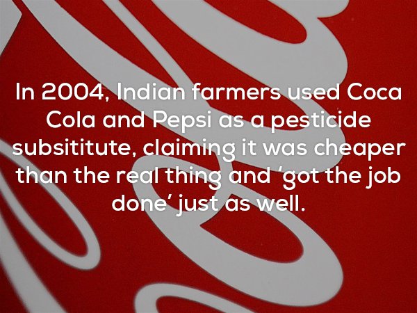Fun fact about how Indian farmers have been using Coca-Cola and Pepsi as a pesticide substitute because it is cheaper and better than the real thing.