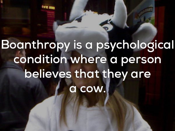 Strange condition called boanthropy in which a person believes they are a cow.