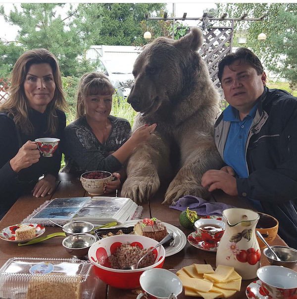 Russian people have a picnic with a bear.