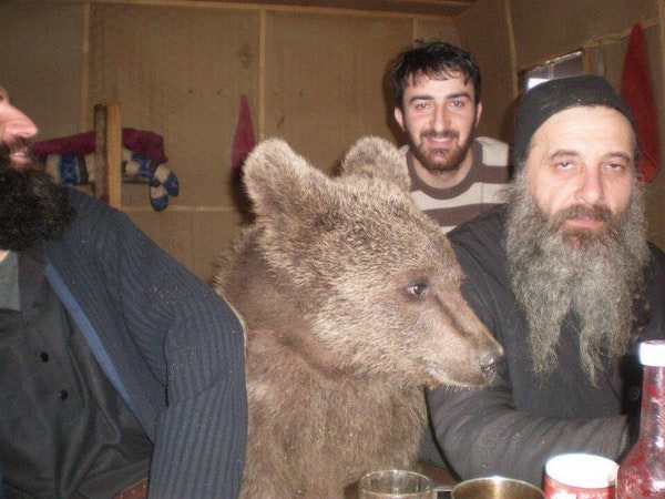 Bearded Russian man having a beer with a bear in a bar.