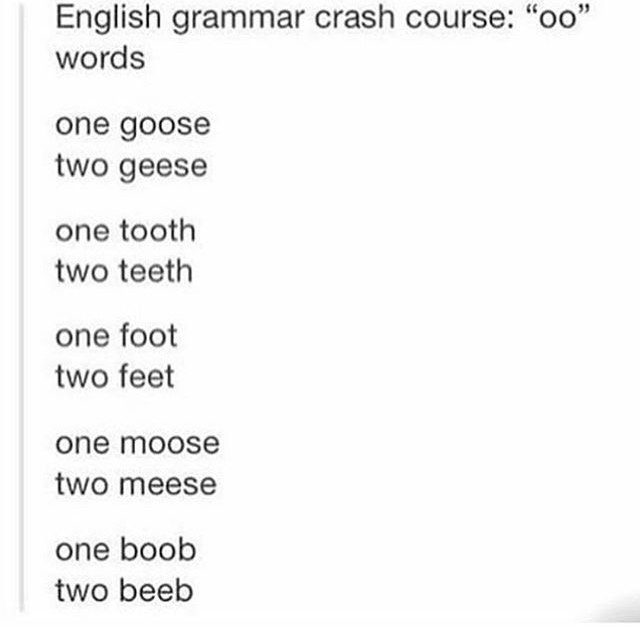 tumblr - Energy - English grammar crash course "00" words one goose two geese one tooth two teeth one foot two feet one moose two meese one boob two beeb