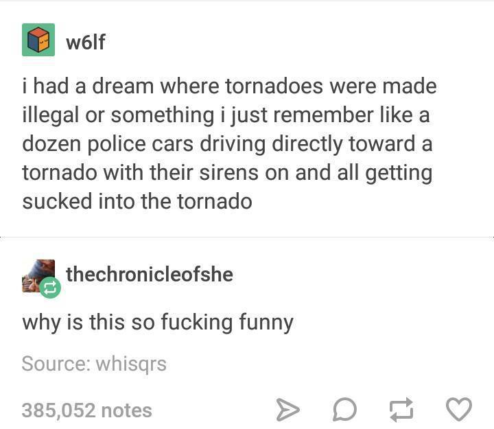 tumblr - tornadoes illegal - wolf i had a dream where tornadoes were made illegal or something i just remember a dozen police cars driving directly toward a tornado with their sirens on and all getting sucked into the tornado thechronicleofshe why is this