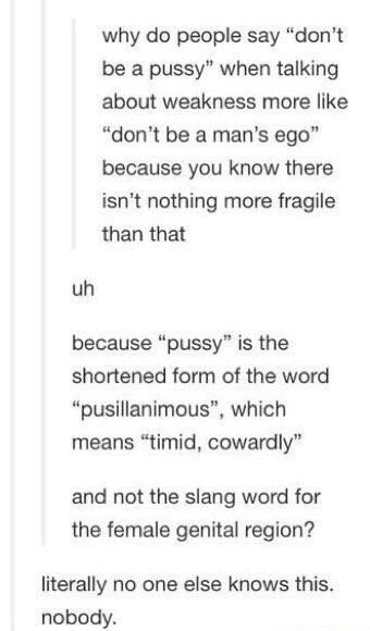 tumblr - document - why do people say "don't be a pussy" when talking about weakness more "don't be a man's ego" because you know there isn't nothing more fragile than that uh because "pussy" is the shortened form of the word "pusillanimous", which means 