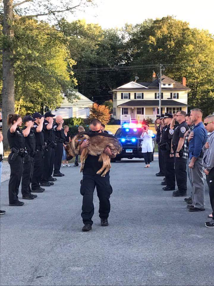 Police dog saluted before being put down