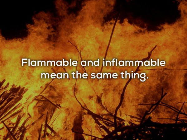 Fun fact that flammable and inflammable have the same meaning.