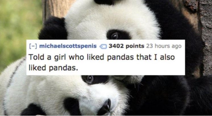 two pandas - michaelscottspenis 3402 points 23 hours ago Told a girl who d pandas that I also d pandas.