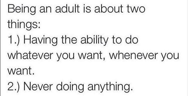 5 4 3 2 1 - Being an adult is about two things 1. Having the ability to do whatever you want, whenever you want. 2. Never doing anything.