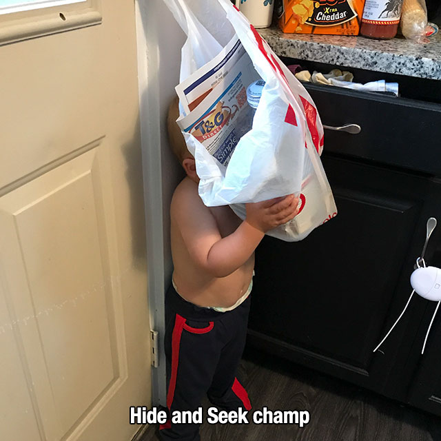 muscle - Tra Cheddar Hide and Seek champ