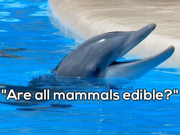 endangered ocean animals - "Are all mammals edible?"