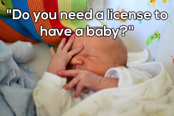 発覚 - "Do you need a license to have a baby?"