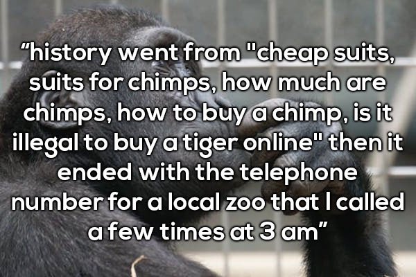 photo caption - "history went from "cheap suits, suits for chimps, how much are chimps, how to buy a chimp, is it illegal to buy a tiger online" then it ended with the telephone number for a local zoo that I called a few times at 3 am"