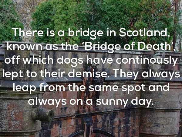 Creepy fact about bridge in Scotland that dogs keep jumping off from the same spot.