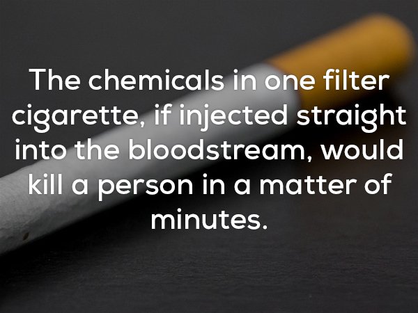 Creepy fact about how the chemicals in one filter cigarette would kill a person if injected into their blood stream.
