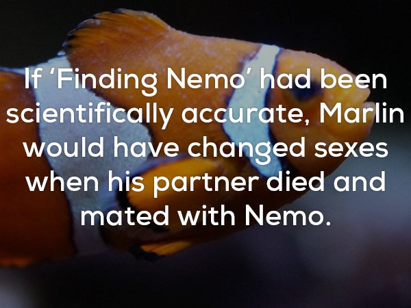 Creepy fact about what would have been scientifically accurate in Finding Nemo