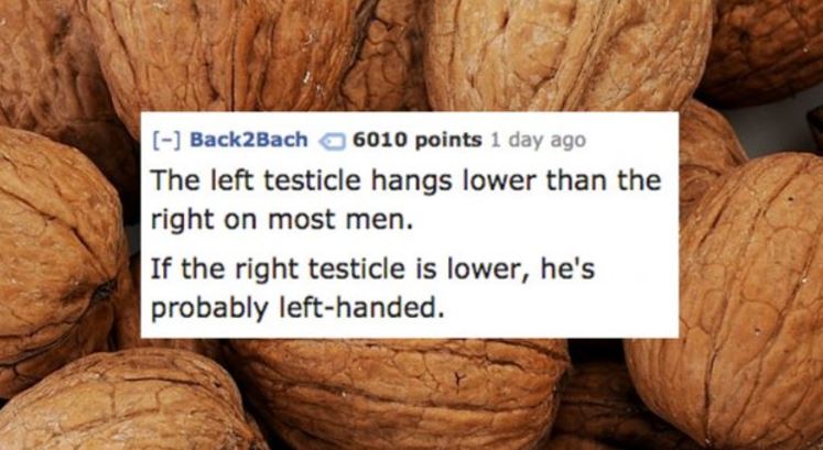 fun fact about what the low hanging testicle is all about