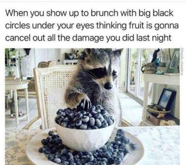 Funny meme about showing up to brunch hung over with pic of raccoon.