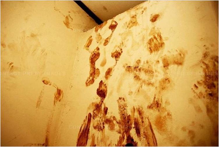 Bloody traces of a massacre of Tutsi schoolchildren attempting to escape the slaughter by climbing the walls, left on a bathroom wall of the Shagi Mission school, in the southwestern part of Rwanda, after the Rwanda genocide, on August 1994, in a photo taken Annie Leibovitz