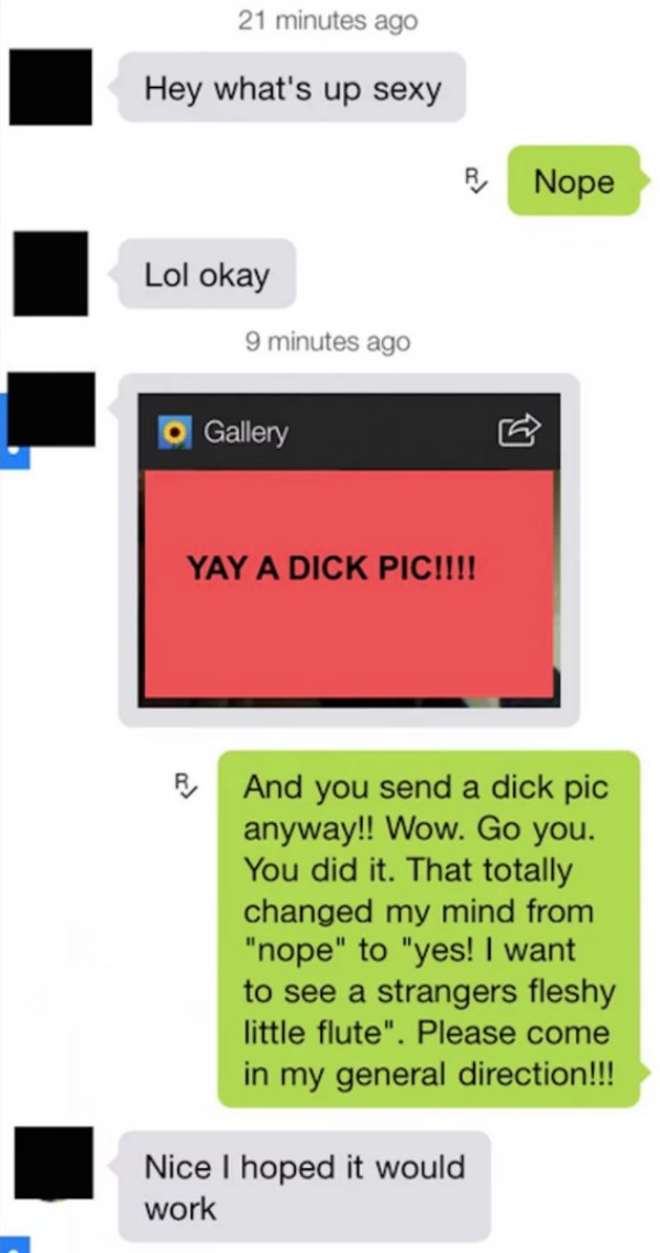 web page - 21 minutes ago Hey what's up sexy Nope Lol okay 9 minutes ago o Gallery Yay A Dick Pic!!!! And you send a dick pic anyway!! Wow. Go you. You did it. That totally changed my mind from "nope" to "yes! I want to see a strangers fleshy little flute