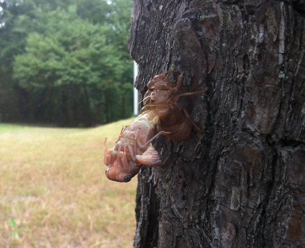 36 pics full of nope