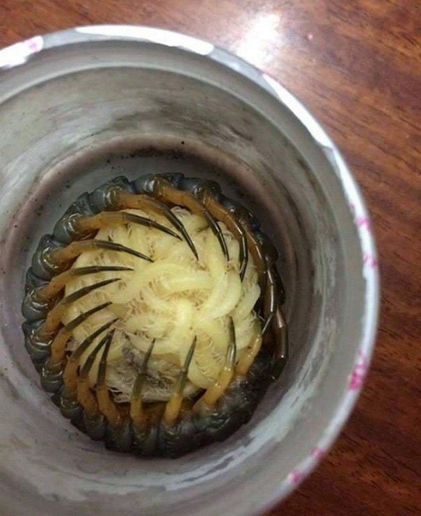 36 pics full of nope