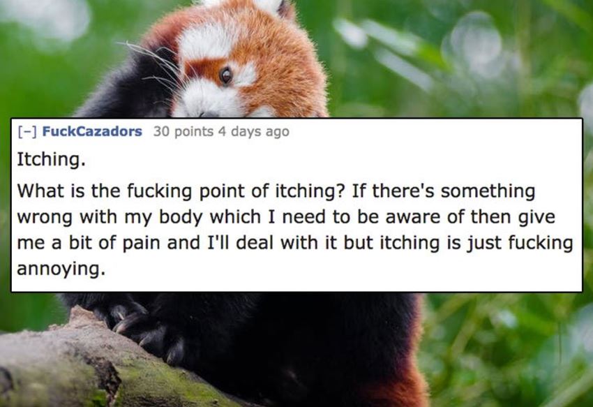 young red panda - FuckCazadors 30 points 4 days ago Itching. What is the fucking point of itching? If there's something wrong with my body which I need to be aware of then give me a bit of pain and I'll deal with it but itching is just fucking annoying.