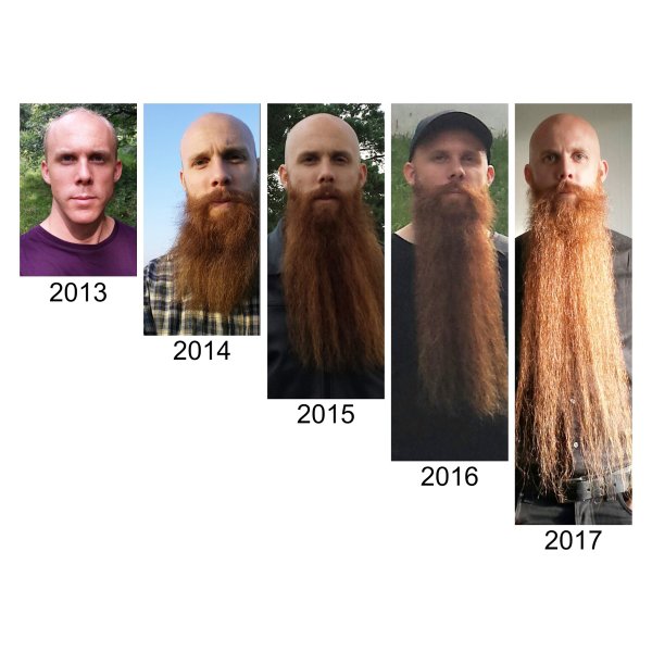 beard - 2013 2014 2015 2016 2017