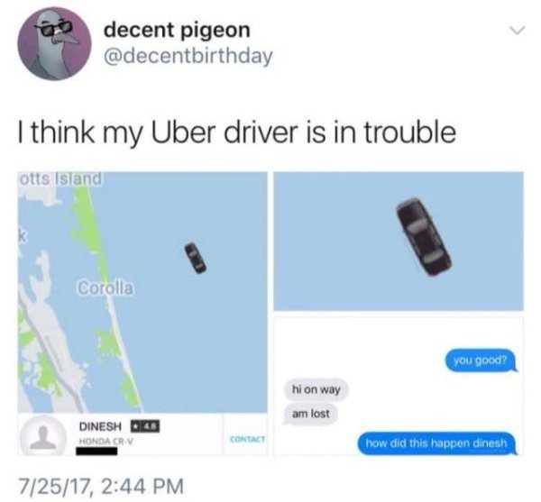 dinesh meme - decent pigeon I think my Uber driver is in trouble otts Island Corolla you good? hi on way am lost Dinesh Doo Honda Crv Contact how did this happen dinesh 72517,