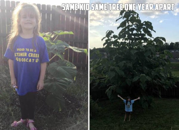 tree - Same Kid Same Tree One Year Apart Proud To Be A Stoner Creek Bobcat