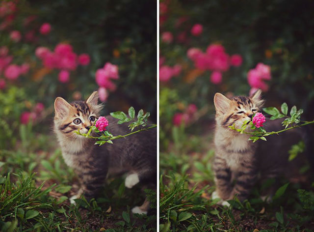 19 Photos To Remind You That Life Is Beautiful