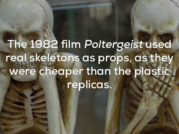 weird disturbing facts - The 1982 film Poltergeist used real skeletons as props, as they were cheaper than the plastic replicas.