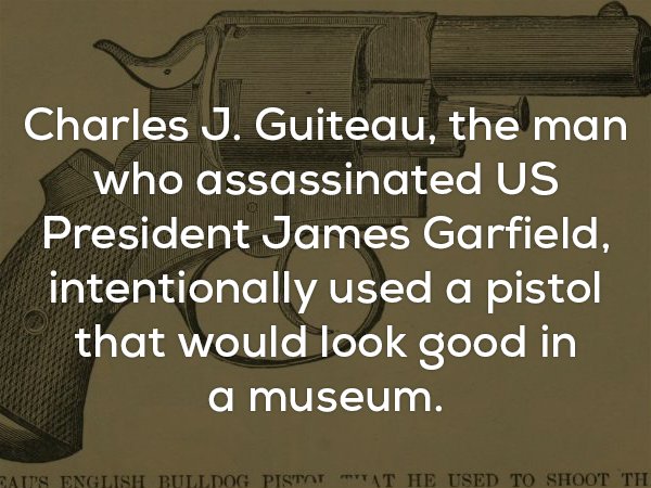 angle - Charles J. Guiteau, the man who assassinated Us President James Garfield, intentionally used a pistol that would look good in a museum. Faits English Bulldog Pistot Tat He Used To Shoot Th