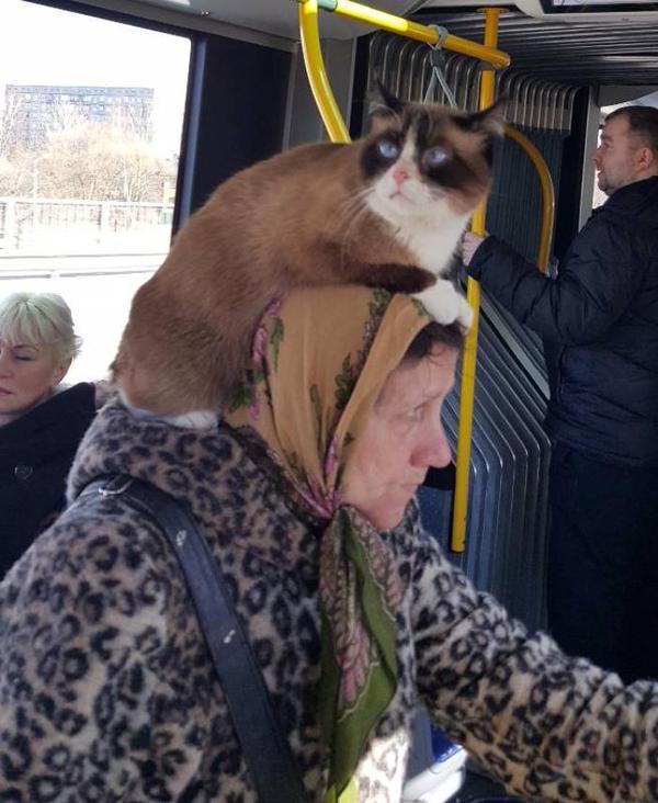 Russian woman on the subway with a cat on her head