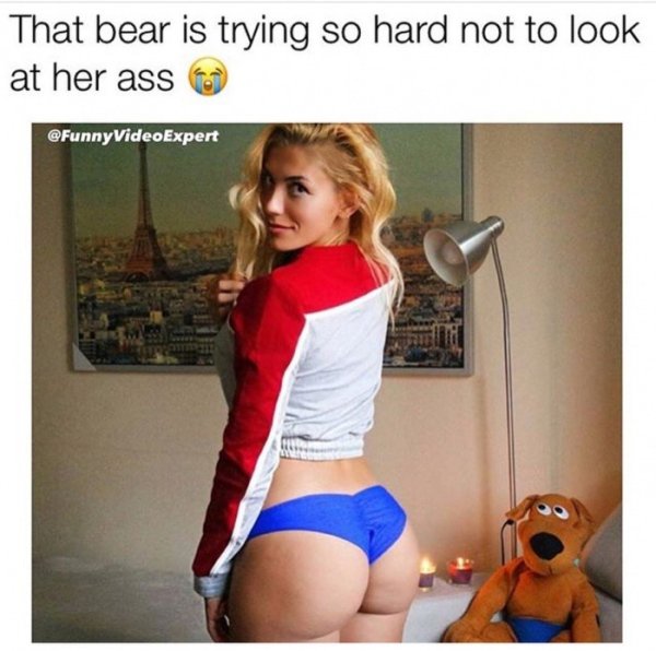 bear is trying so hard not - That bear is trying so hard not to look at her ass VideoExpert