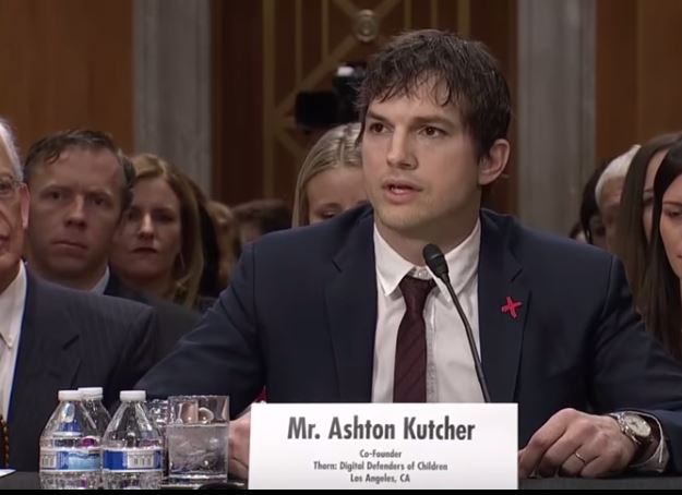 Ashton Kutcher is the co-founder of Thorn. Thorn is a company outsourced by the FBI to catch pedophiles and stop sex trafficking.